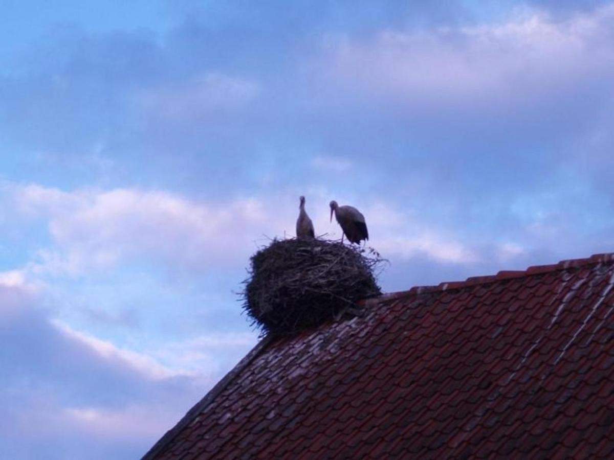 Siedlisko Sabinowo Villa Wegorzewo Bagian luar foto