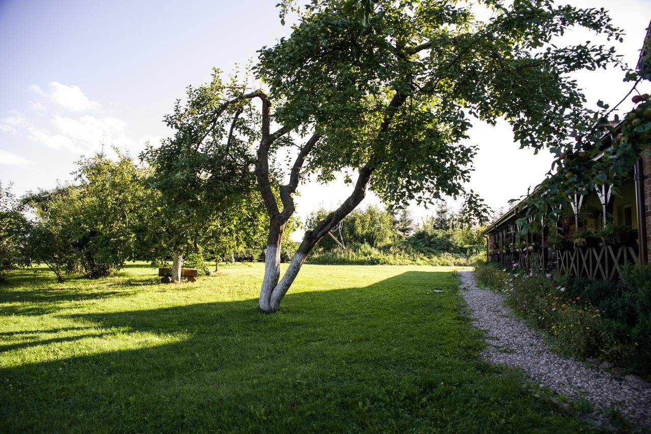 Siedlisko Sabinowo Villa Wegorzewo Bagian luar foto