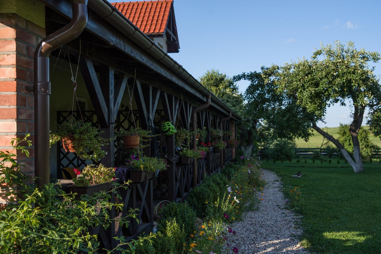 Siedlisko Sabinowo Villa Wegorzewo Bagian luar foto