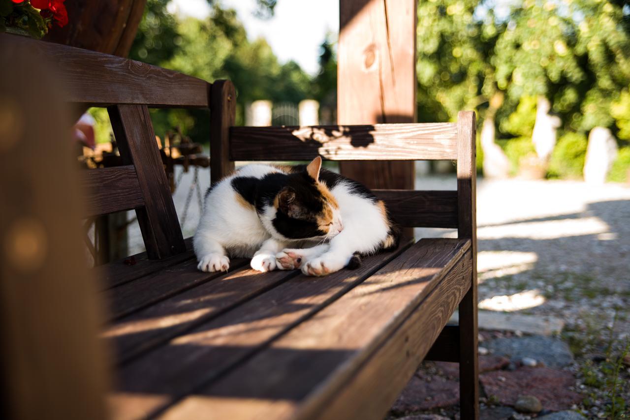 Siedlisko Sabinowo Villa Wegorzewo Bagian luar foto